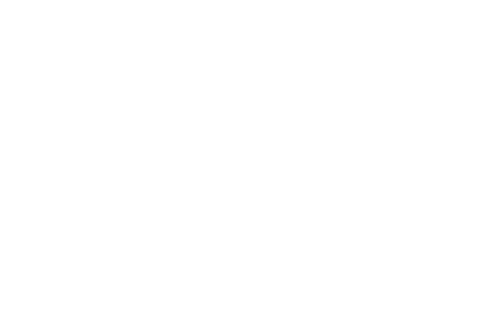 Directive Four